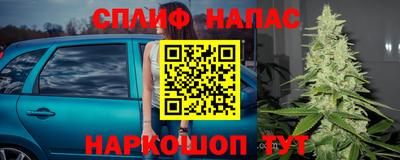 спайс Малгобек