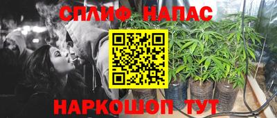 спайс Малгобек