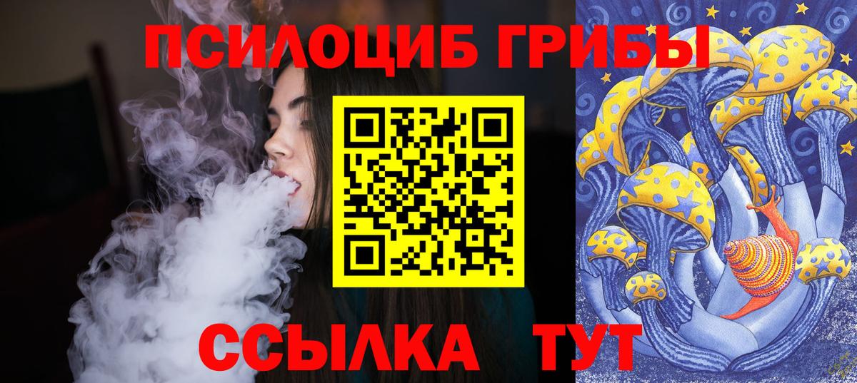Галлюциногенные грибы ЛСД Ефремов