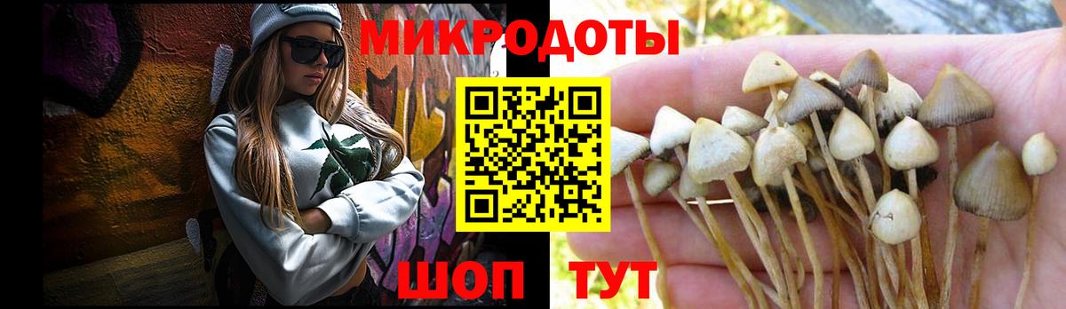 Галлюциногенные грибы мицелий  закладка  Ефремов  Вход с VPN 